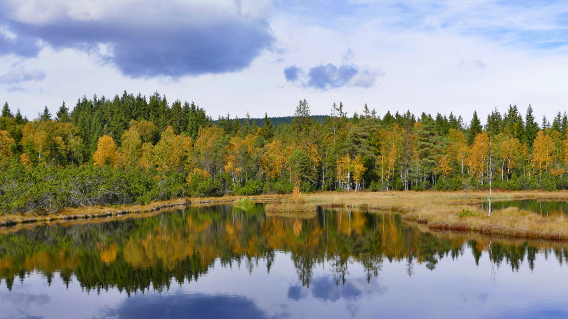 Chalupská slať (8)